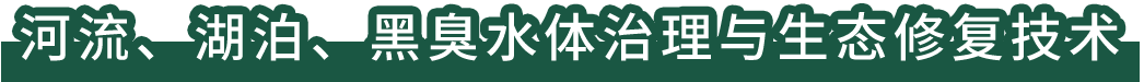 河流、湖泊、黑臭水體治理與生態(tài)修復(fù)技術(shù)