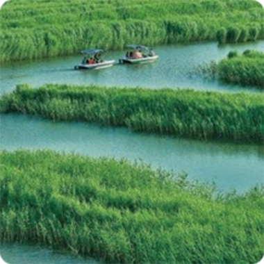 地表水流域綜合治理項(xiàng)目案例 地表水流域綜合治理項(xiàng)目案例