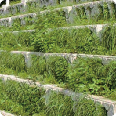 地表水流域綜合治理項(xiàng)目案例 地表水流域綜合治理項(xiàng)目案例