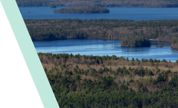 底泥修復(fù)技術(shù)