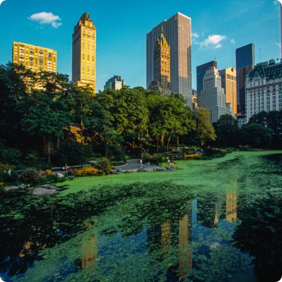 地下水污染修復