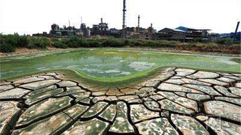 土壤板結 土壤板結