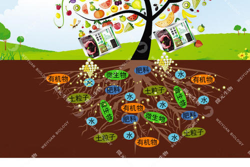 土壤污染微生物修復(fù)原則 土壤污染微生物修復(fù)原則