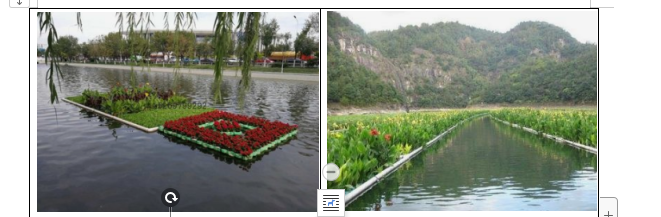 農村生活污水治理——人工濕地 農村生活污水治理——人工濕地