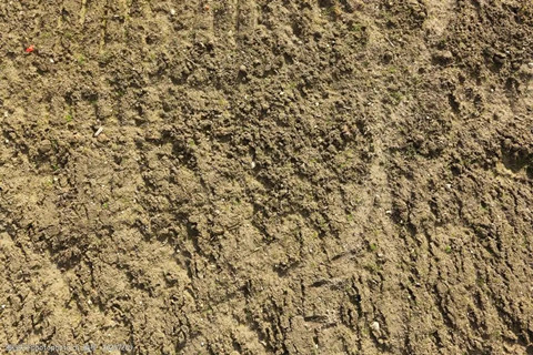 <a href=http://www.aotuss.com/turangjiance.html>土壤檢測</a> 土壤檢測