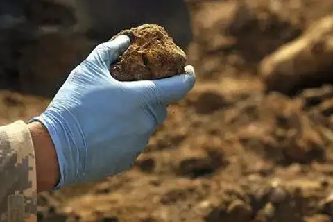 <a href=http://www.aotuss.com/turangjiance.html>土壤檢測</a> 土壤檢測